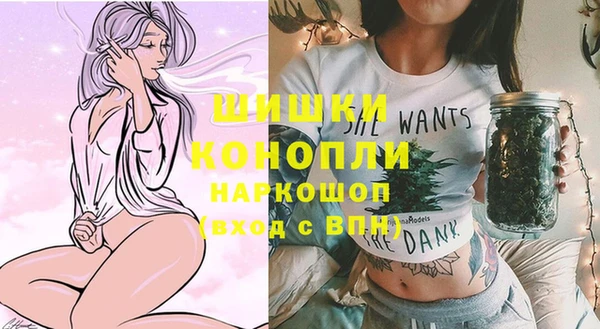винт Краснослободск