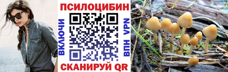 Псилоцибиновые грибы GOLDEN TEACHER  Купить закладки  Сретенск 